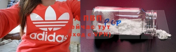 стаф Волосово