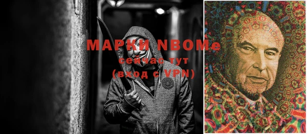 стаф Волосово